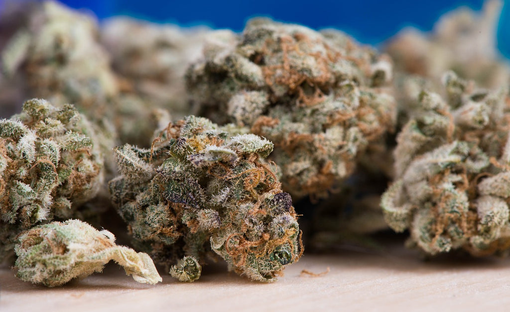 Terpene in Cannabis: Das Geheimnis der Aromen und Wirkungen