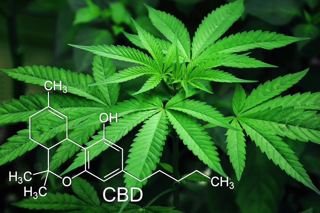 Hexahydrocannabinol (HHC) - The unknown player in the cannabis game