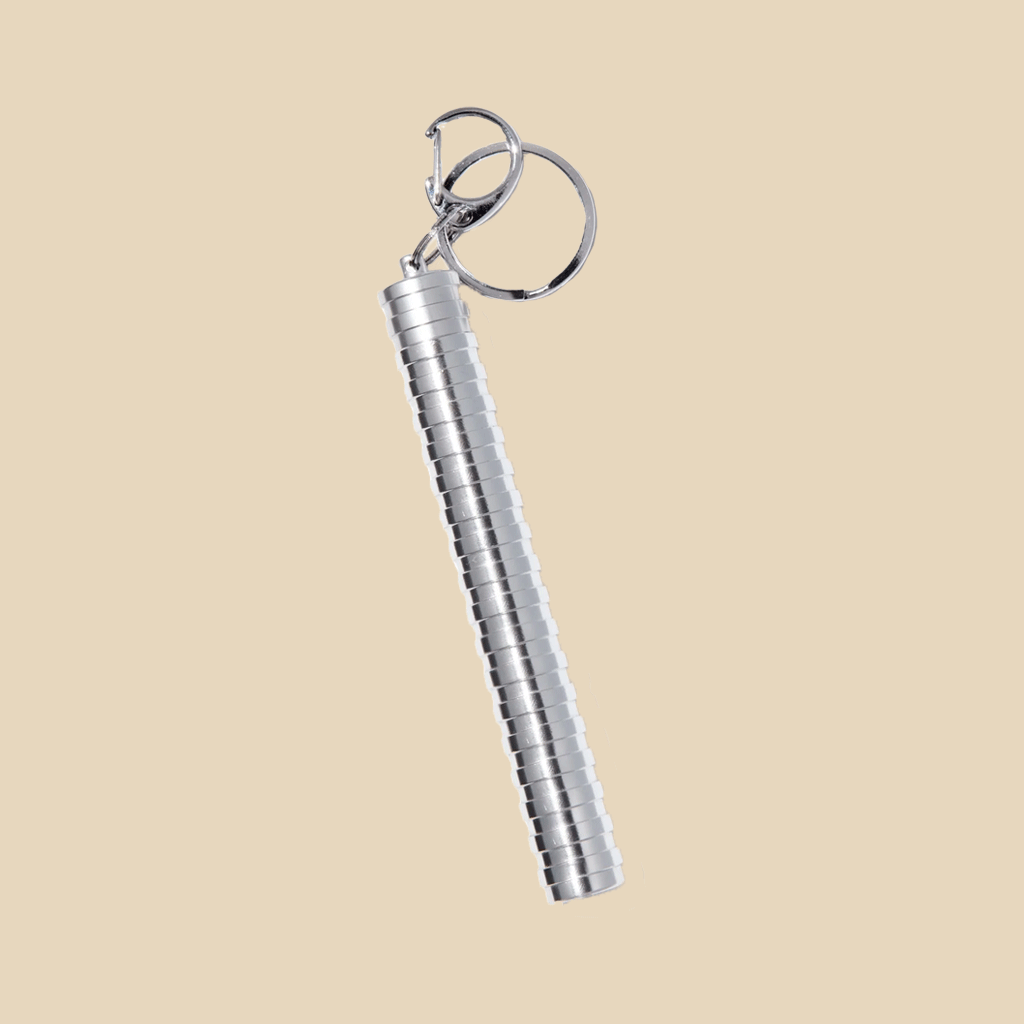 Carry Case Keychain - Silver - AURIEY GmbH
